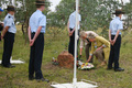 No 9 Squadron Association Stanthorpe A2 378 ceremony photo gallery - Geraldine Lloyd lays flowers